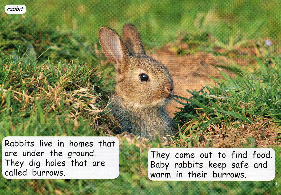 living underground绘本故事第4页