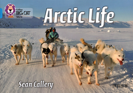 Arctic Life