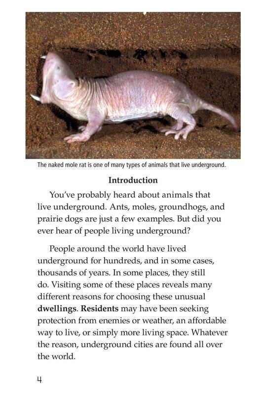 Underground Cities绘本故事第3页