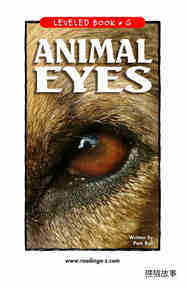 Animal Eyes