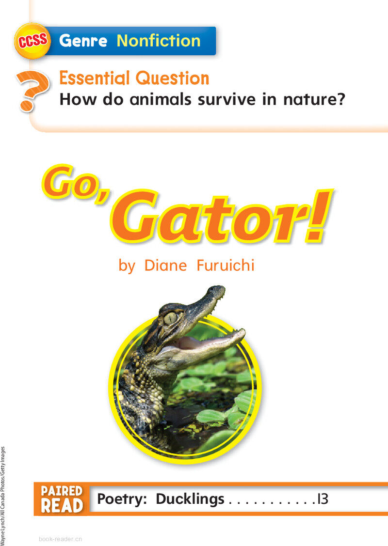 G1 App U4W3 Go, Gator!绘本故事第3页