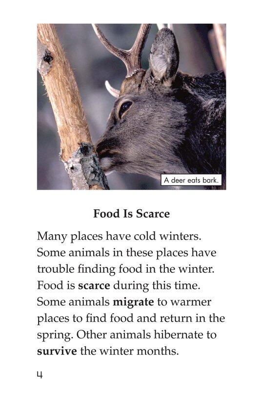 Hibernation绘本故事第3页