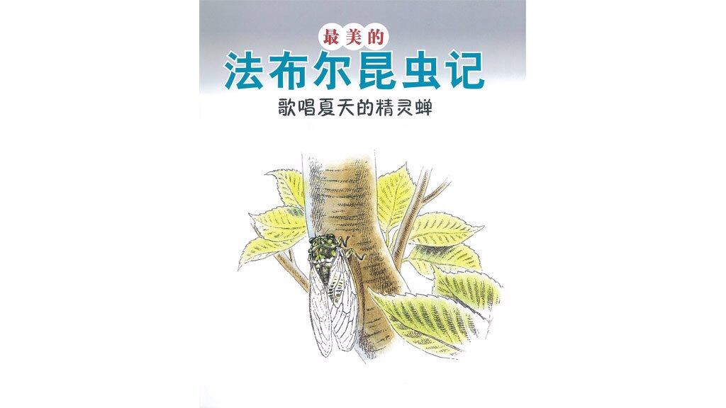 歌唱夏天的精灵蝉绘本故事第2页