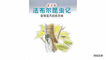歌唱夏天的精灵蝉绘本故事第2页