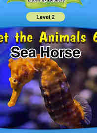Sea Horse