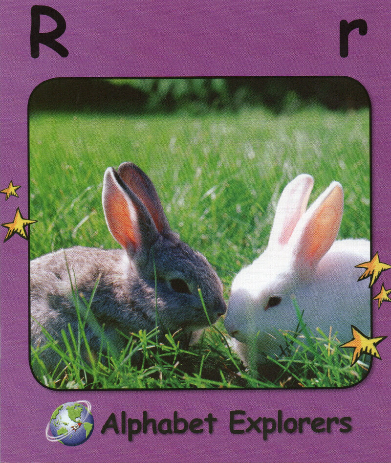 R绘本故事第2页