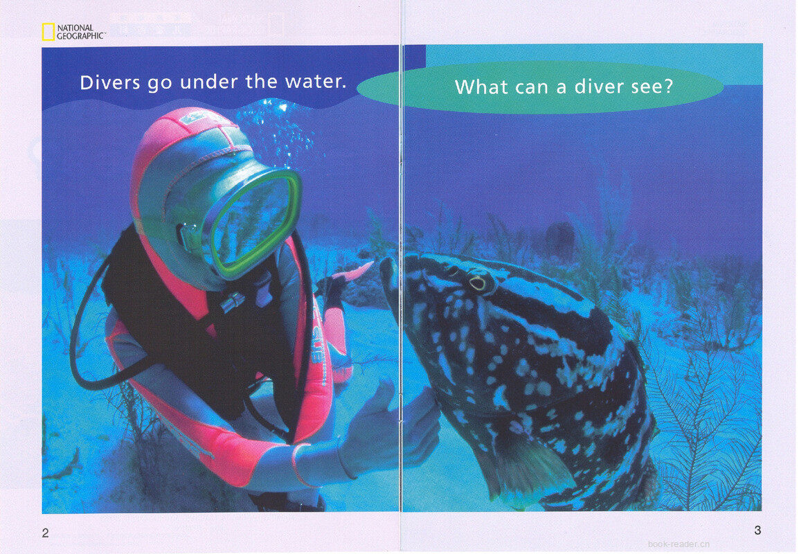 What Can a Diver See绘本故事第3页