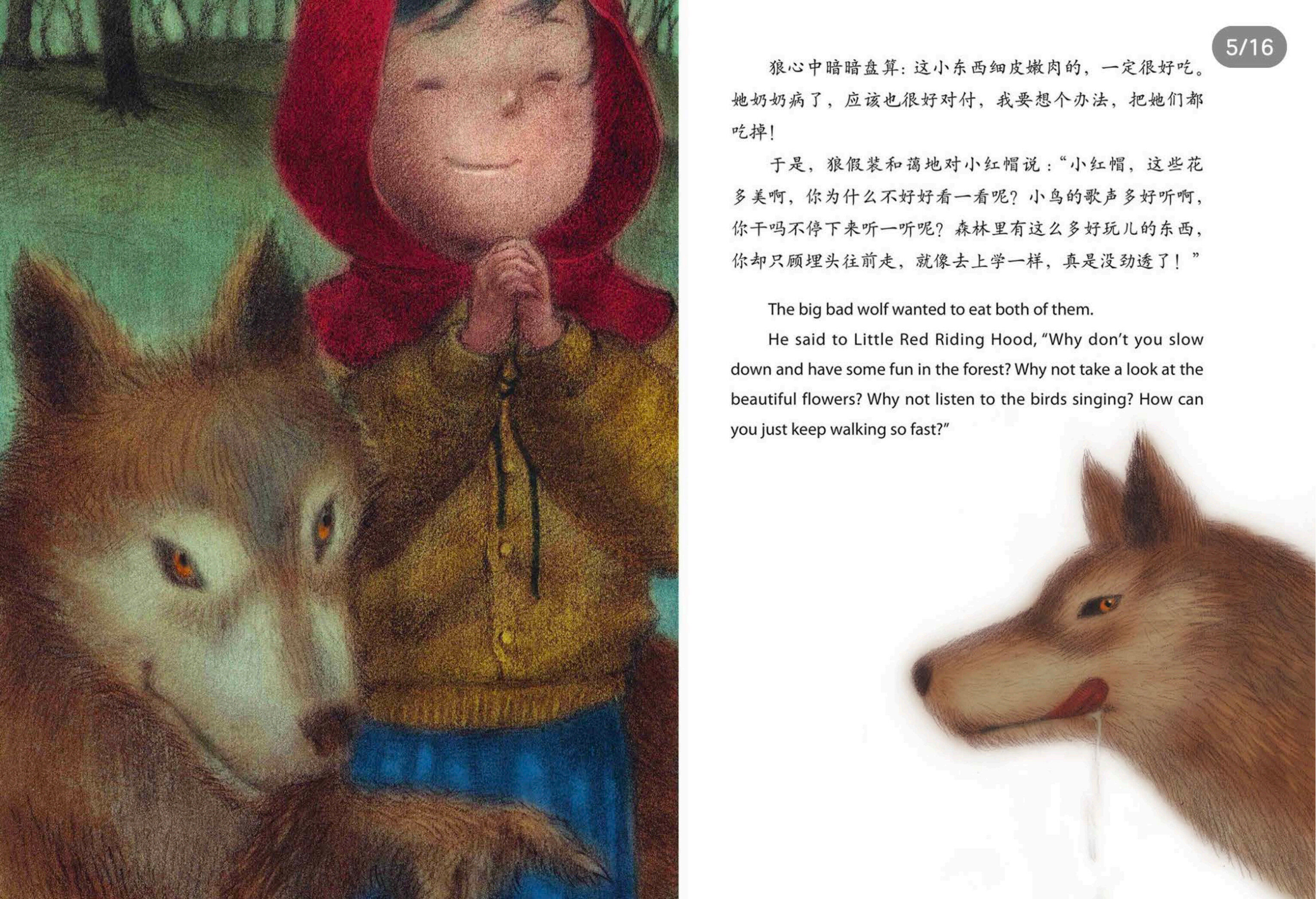 小红帽绘本故事第5页