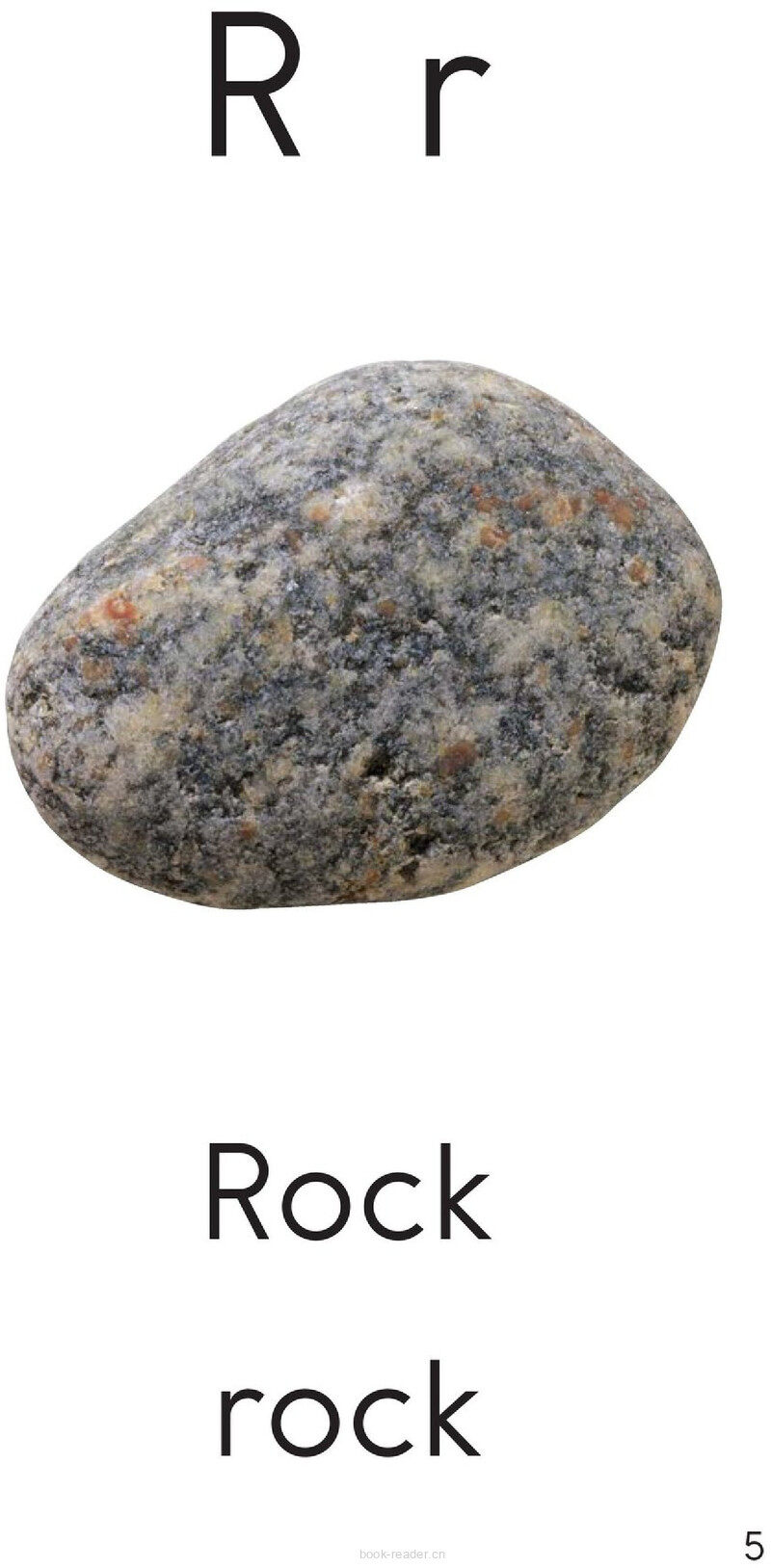 Letter R绘本故事第5页