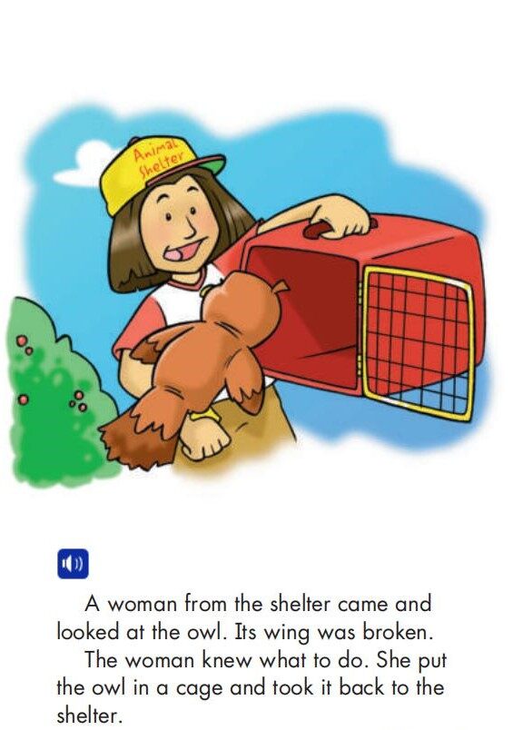 Fly Away绘本故事第5页