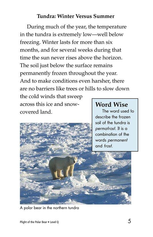 Plight of the Polar Bear绘本故事第4页