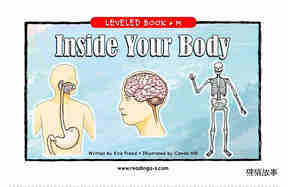Inside Your Body
