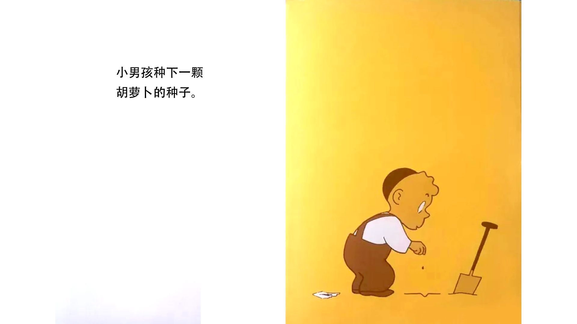 胡萝卜的种子绘本故事第3页