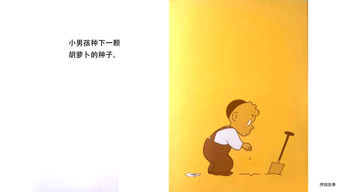 胡萝卜的种子绘本故事第3页