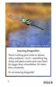 Dragonflies!绘本故事第3页