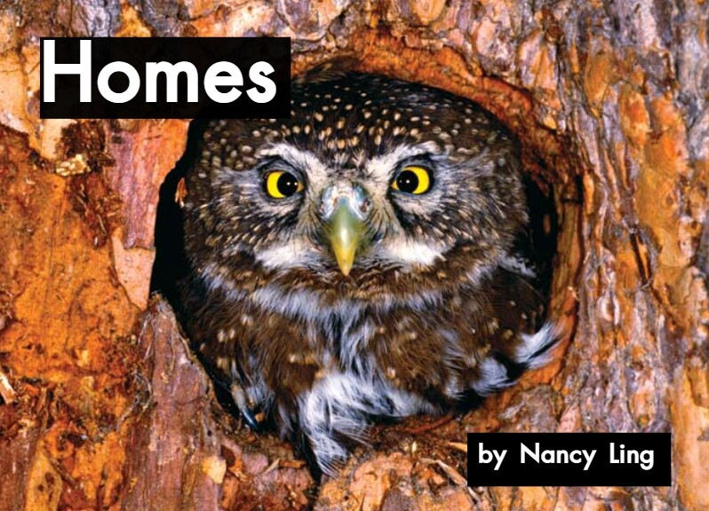 Homes绘本故事第2页