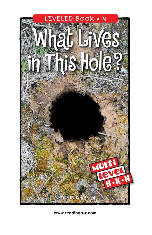 What Lives in This Hole绘本故事第2页