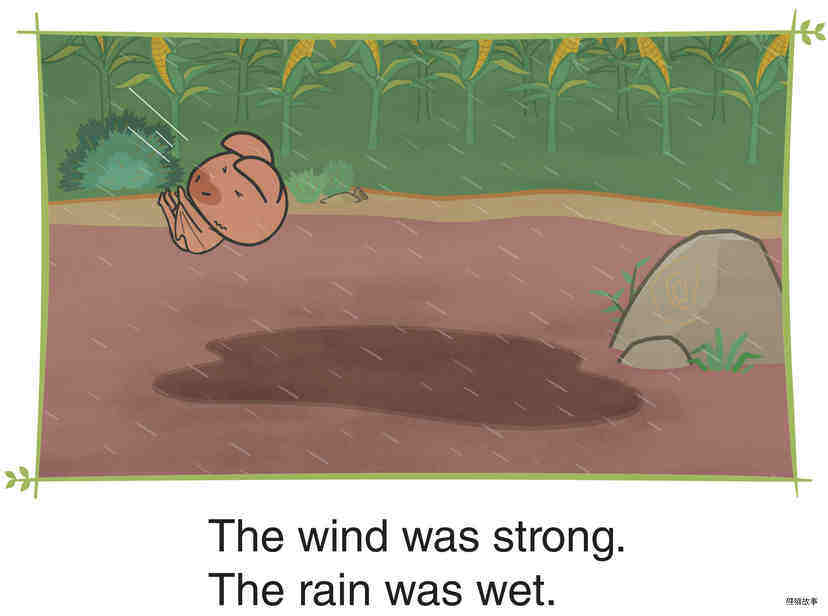 Lost in the Rain绘本故事第5页