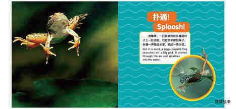 青蛙绘本故事第5页