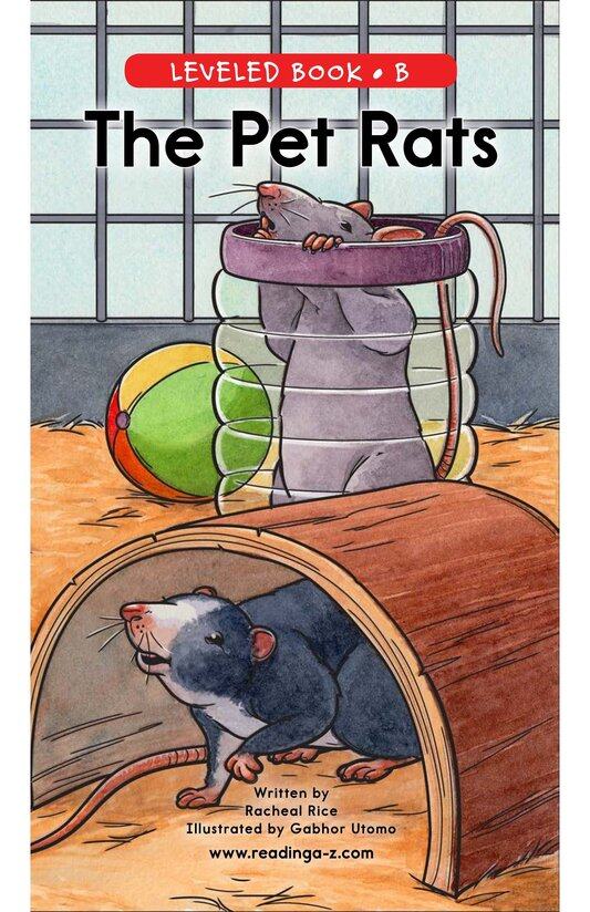 The Pet Rats绘本故事第2页