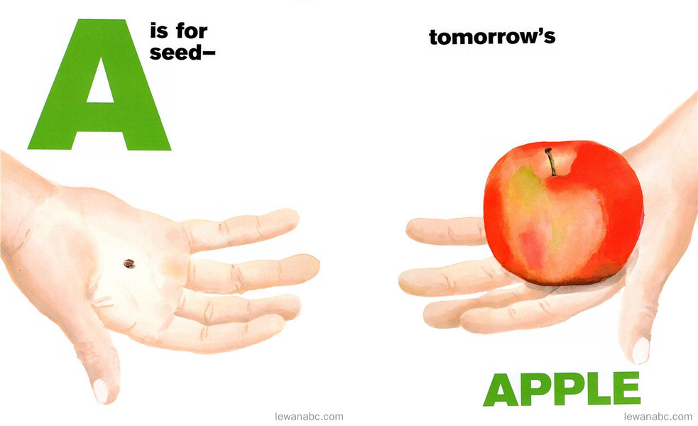 (42周)Tomorrow's Alphabet 绘本故事第3页