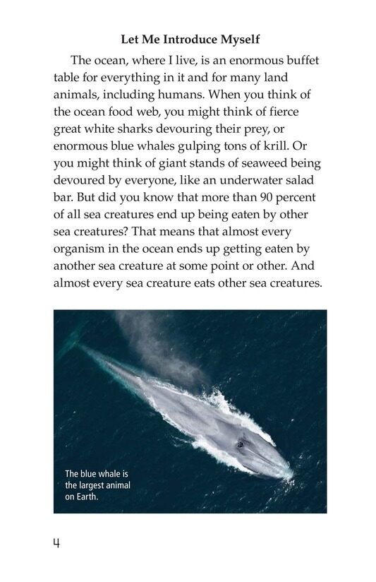 The Amazing Undersea Food Web绘本故事第3页