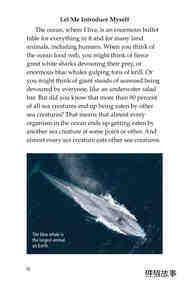 The Amazing Undersea Food Web绘本故事第3页