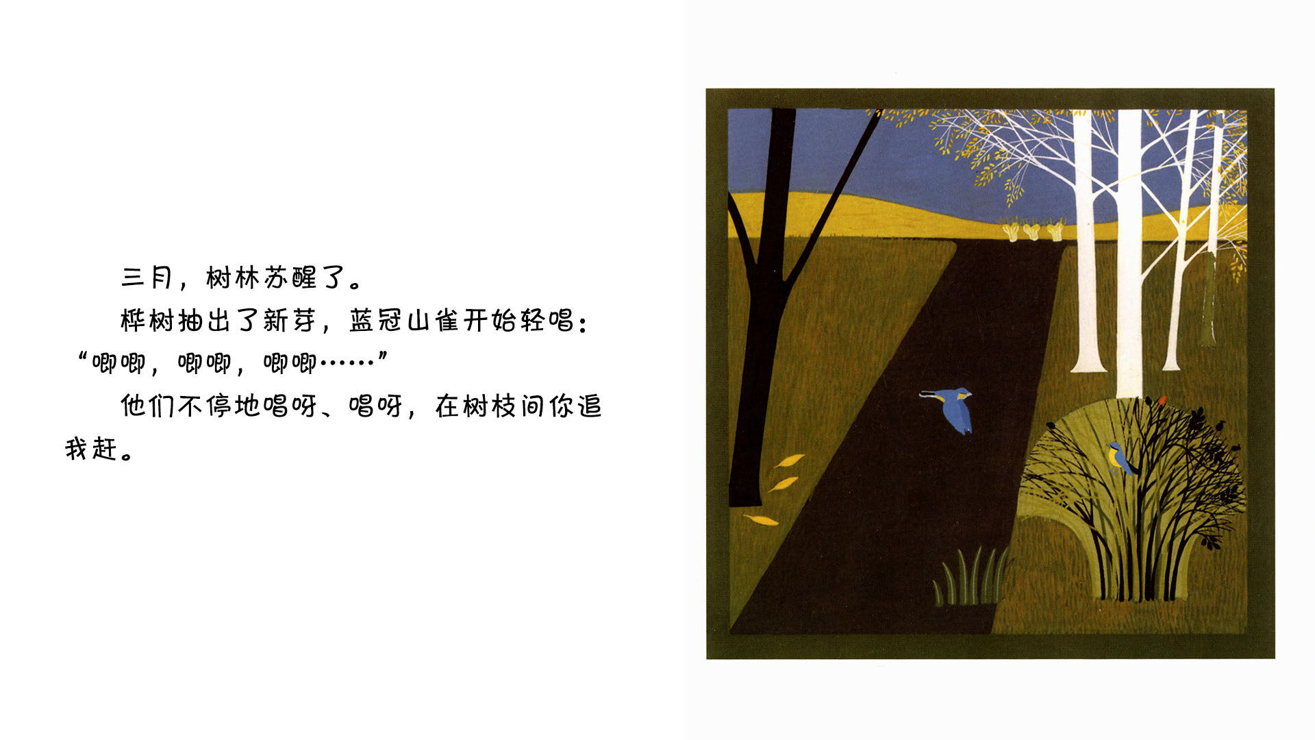 蓝冠山雀绘本故事第3页