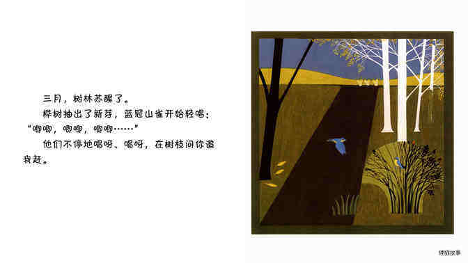 蓝冠山雀绘本故事第3页
