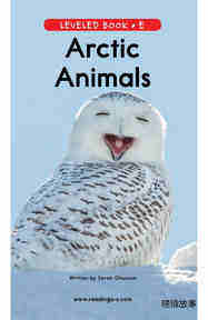 Arctic Animals