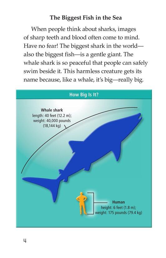 Whale Sharks Giant Fish绘本故事第3页