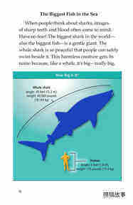 Whale Sharks Giant Fish绘本故事第3页