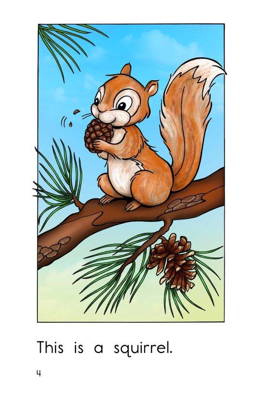 The Forest绘本故事第4页