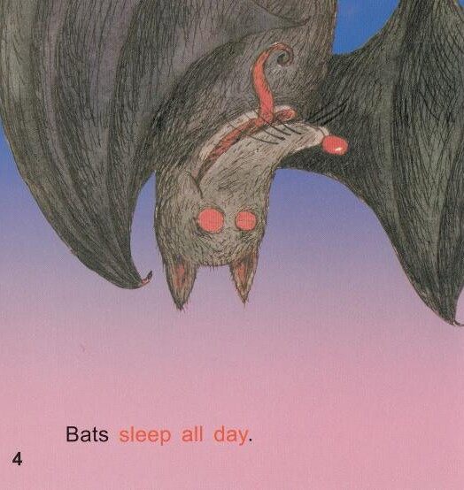 I wish I was a bat绘本故事第5页