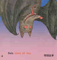 I wish I was a bat绘本故事第5页