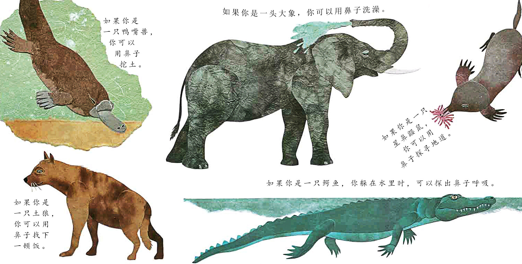 这样的尾巴可以做什么绘本故事第5页