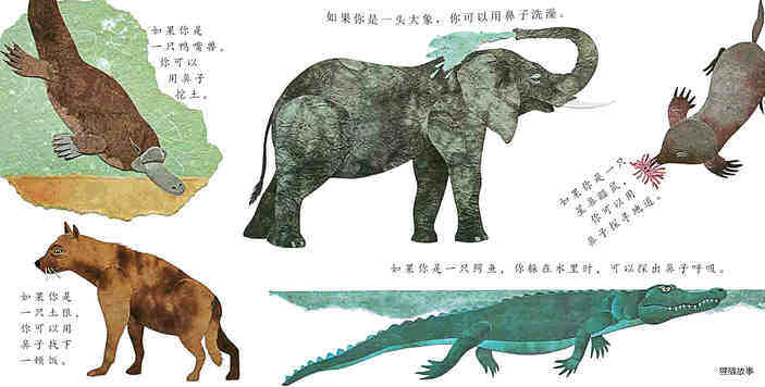 这样的尾巴可以做什么绘本故事第5页