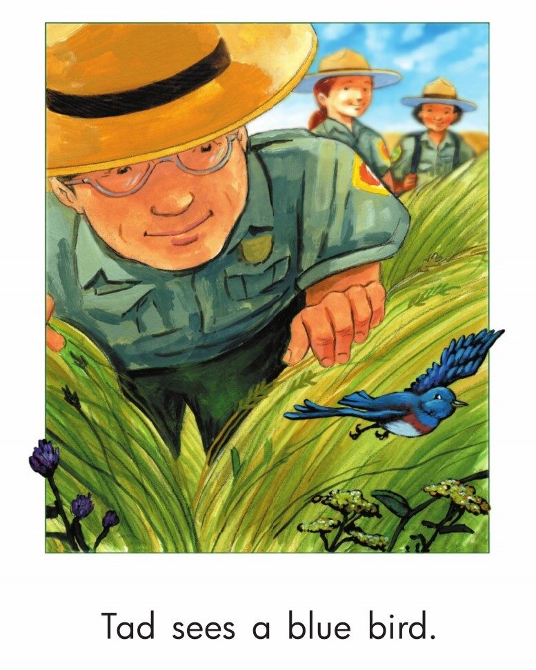 Looking for Animals绘本故事第4页