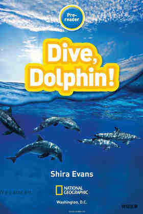 Dive Dolphin
