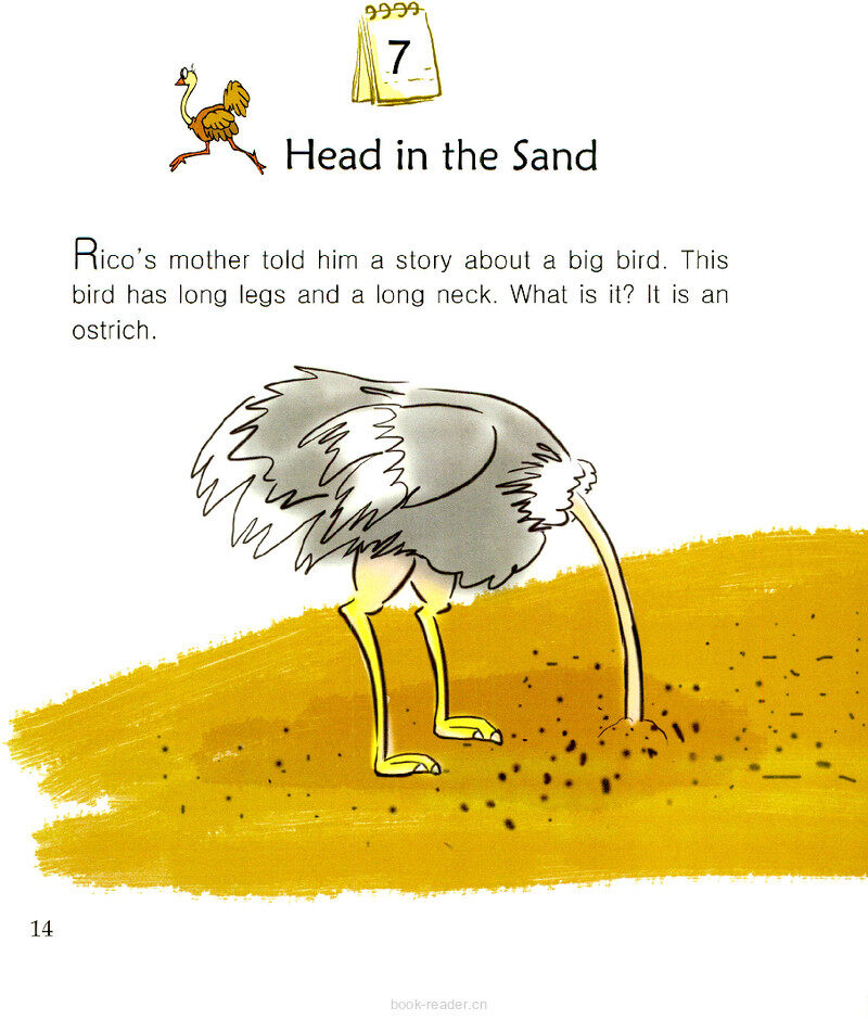 Head in the Sand绘本故事第2页