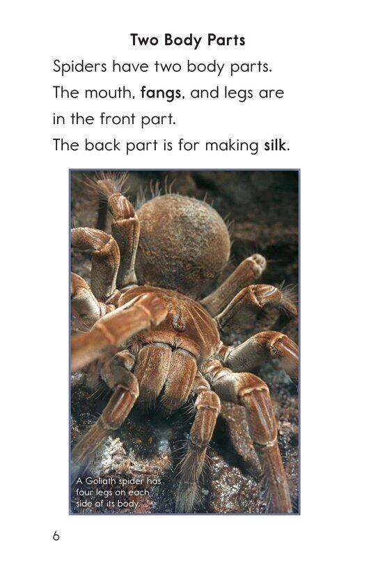 Goliath Bird-Eating Spiders Giant Arachnids绘本故事第5页