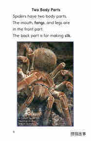Goliath Bird-Eating Spiders Giant Arachnids绘本故事第5页