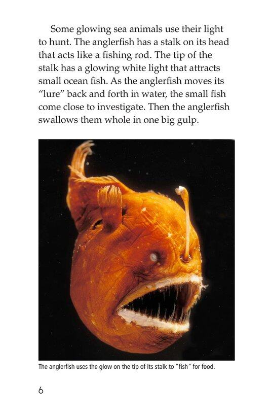 Glow in the Dark Animals绘本故事第5页
