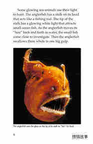 Glow in the Dark Animals绘本故事第5页