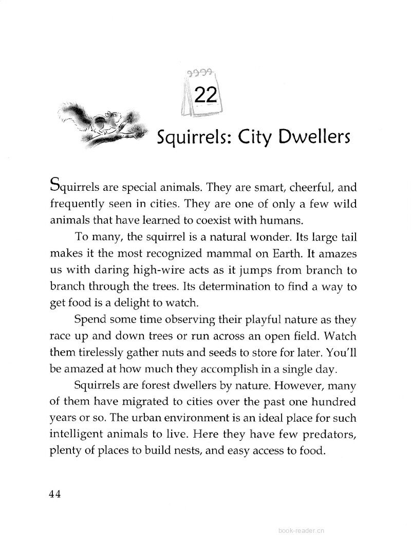 Squirrels: City Dwellers绘本故事第2页