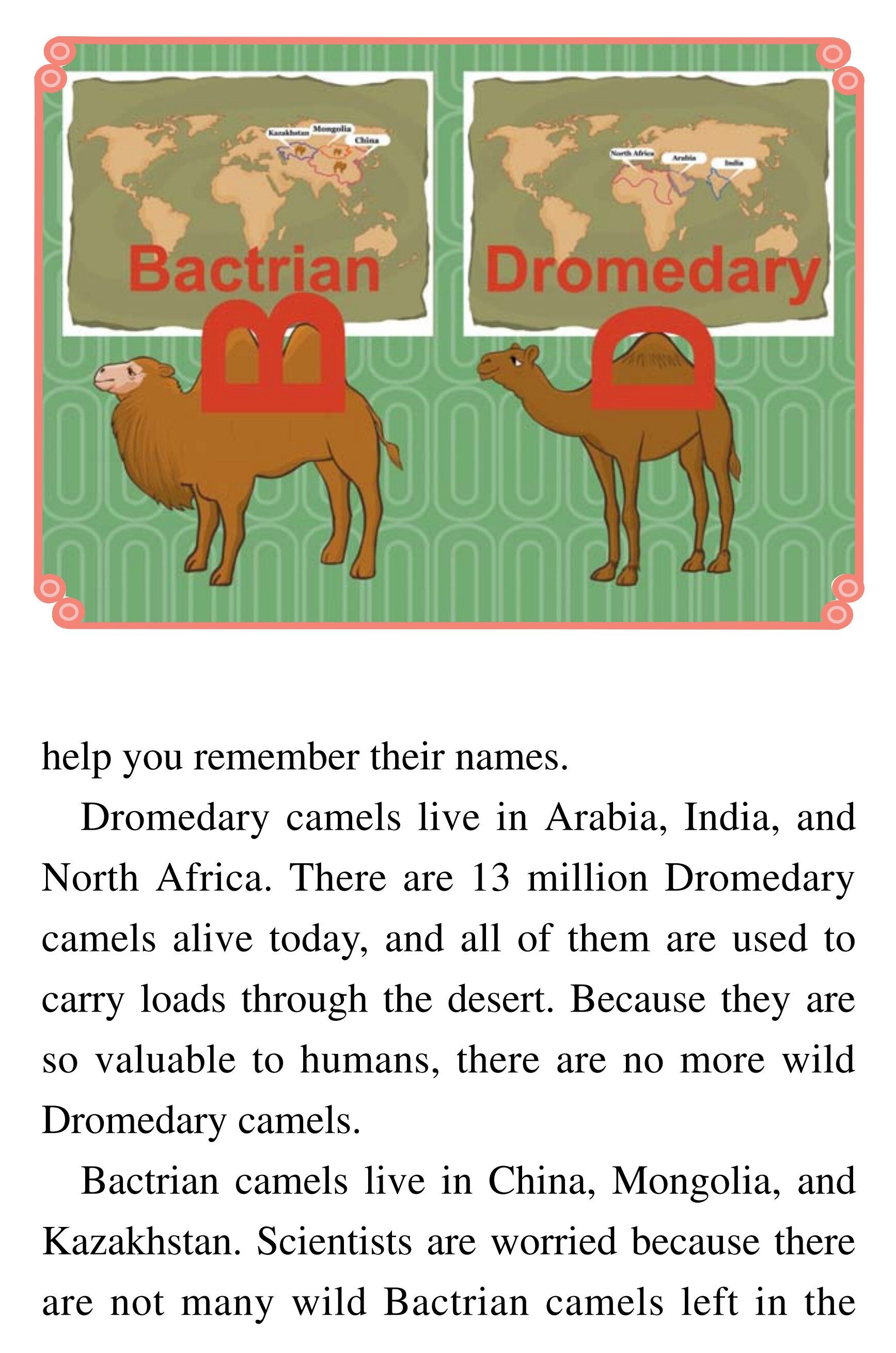 Ships of the Desert绘本故事第4页