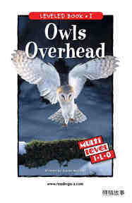 Owls Overhead