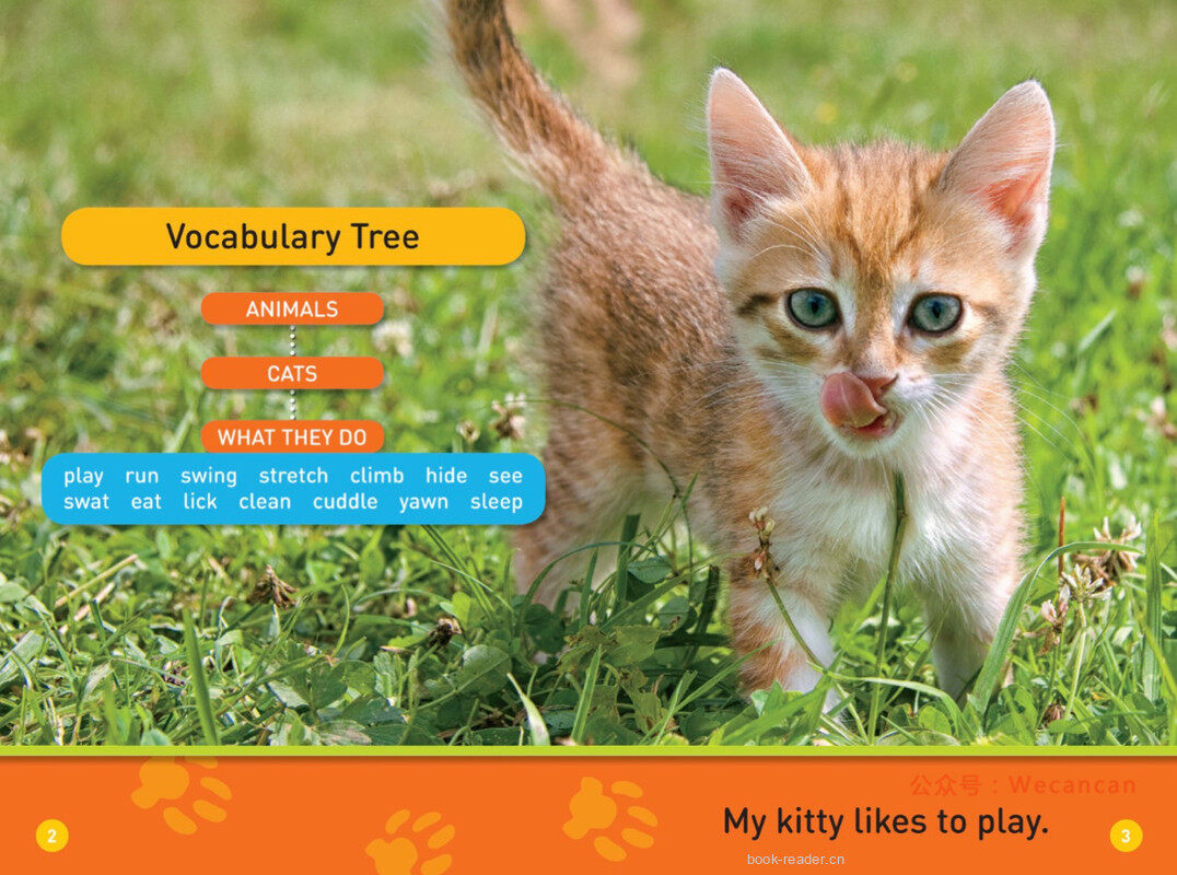 Play Kitty绘本故事第3页