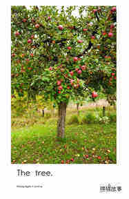 Picking Apples绘本故事第5页