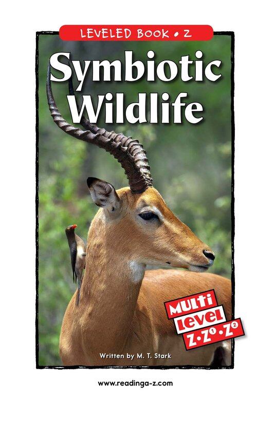 Symbiotic Wildlife绘本故事第2页